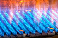 Pen Allt gas fired boilers